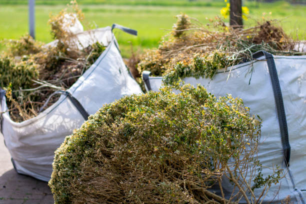 Professional Junk Removal Services in Carrizo Hill, TX